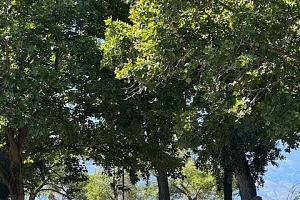 3389 LAKESHORE Road Unit# 312 Lot# 35 - Photo 44