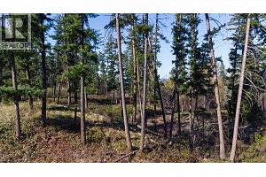 3281 Hall Road - Photo 2