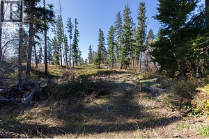 3281 Hall Road - Photo 4