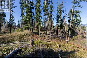 3281 Hall Road - Photo 5