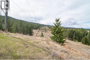 5450 McCulloch Road - Photo 7