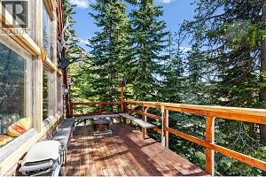 7440 Porcupine Road - Photo 14