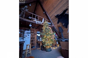 7440 Porcupine Road - Photo 34