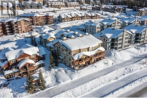 5045 Snowbird Way Unit# 5 - Photo 41