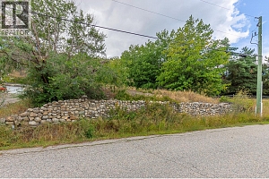 6610 Goose Lake Road - Photo 2