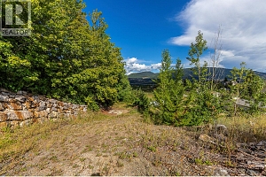 6610 Goose Lake Road - Photo 30