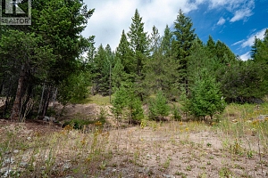 6350 Highway 33 Highway Lot# 18 - Photo 10