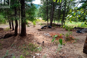 6350 Highway 33 Highway Lot# 18 - Photo 14