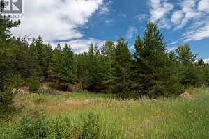 6350 Highway 33 Highway Lot# 18 - Photo 21