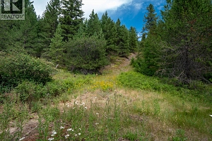 6350 Highway 33 Highway Lot# 18 - Photo 5