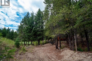 6350 Highway 33 Highway Lot# 18 - Photo 8