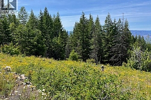 Ruth Road - Photo 10