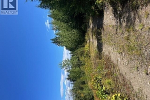 Ruth Road - Photo 12