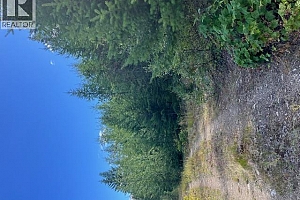 Ruth Road - Photo 13