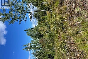 Ruth Road - Photo 14