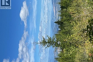 Ruth Road - Photo 15