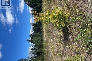 Ruth Road - Photo 17