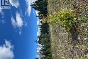Ruth Road - Photo 18