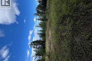 Ruth Road - Photo 19