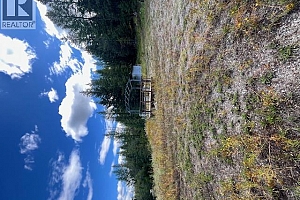 Ruth Road - Photo 21