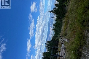 Ruth Road - Photo 22