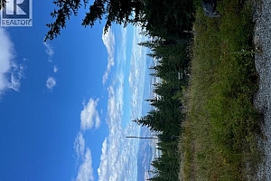 Ruth Road - Photo 23