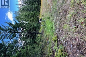 Ruth Road - Photo 25