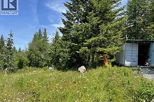 Ruth Road - Photo 6