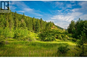5617 Oyama Lake Road Lot# 2 - Photo 3