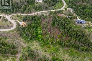 5617 Oyama Lake Road Lot# 2 - Photo 31