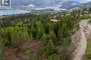 5617 Oyama Lake Road Lot# Prop Lot 2 - Photo 34