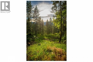 5617 Oyama Lake Road Lot# 2 - Photo 48