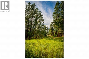 5617 Oyama Lake Road Lot# 2 - Photo 49