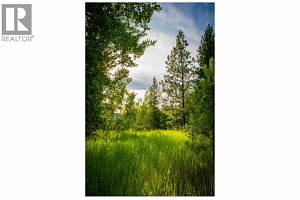 5617 Oyama Lake Road Lot# 2 - Photo 50