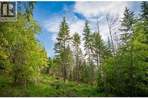 5617 Oyama Lake Road Lot# 2 - Photo 51