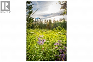 5617 Oyama Lake Road Lot# 2 - Photo 52