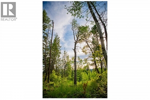 5617 Oyama Lake Road Lot# 2 - Photo 53