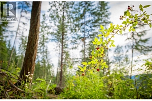 5617 Oyama Lake Road Lot# 2 - Photo 55