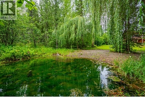 380 Richlands Road - Photo 84