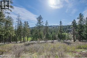 433 Longspoon Place - Photo 68