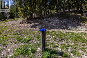 7114 Goshawk Road - Photo 48