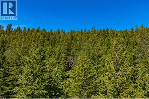 7114 Goshawk Road - Photo 58