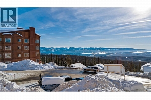 255 Feathertop Way Unit# 86 - Photo 9