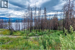 1750 Westside Road N Lot# 3 - Photo 11