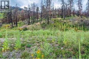 1750 Westside Road N Lot# 3 - Photo 13