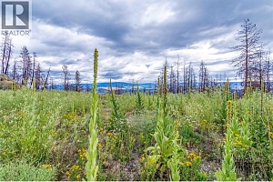 1750 Westside Road N Lot# 3 - Photo 14