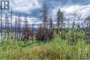 1750 Westside Road N Lot# 3 - Photo 16