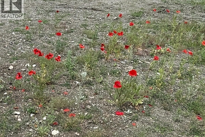 1750 Westside Road N Lot# 3 - Photo 30