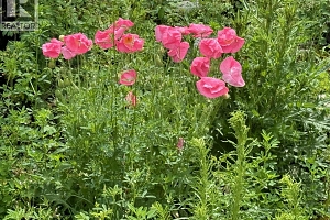 1750 Westside Road N Lot# 3 - Photo 31