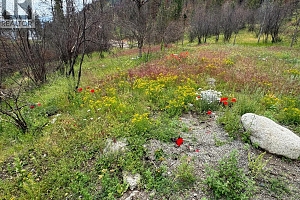 1750 Westside Road N Lot# 3 - Photo 36